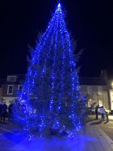 Wigtown Tree